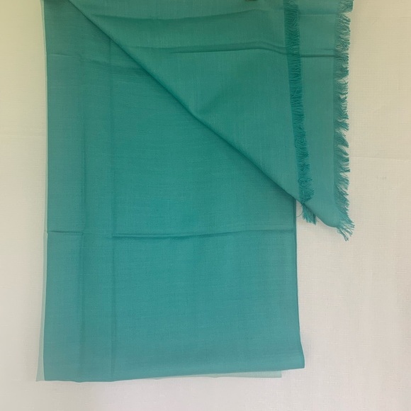Eureka Kashmir Scarf Shawl Modal / Wool Mint Green Wrap Fringe 28 x 72 - Picture 4 of 6